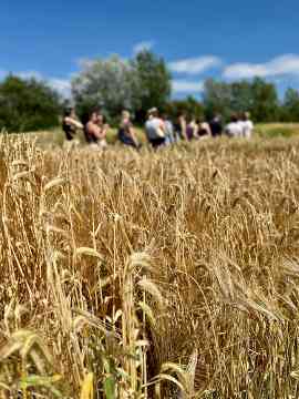 Zwischen Forschung, Landwirtschaft und Kultur – eine Wien-Woche voller Eindrücke