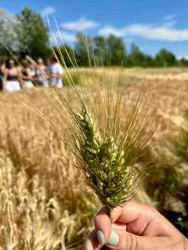 Zwischen Forschung, Landwirtschaft und Kultur – eine Wien-Woche voller Eindrücke