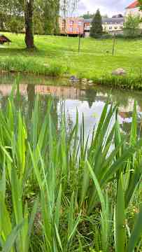 Biodiversitätsworkshop 3IUM