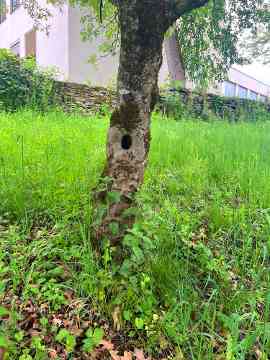 Biodiversitätsworkshop 3IUM