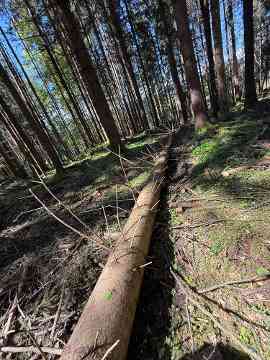 FAST Ossiach Wald und Wirtschaft
