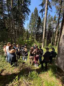 FAST Ossiach Wald und Wirtschaft
