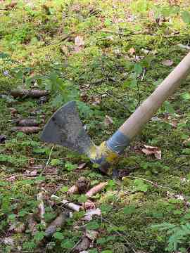 FAST Ossiach Wald und Wirtschaft