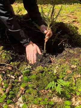 FAST Ossiach Wald und Wirtschaft