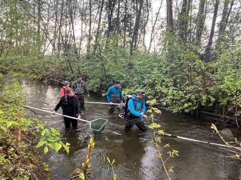 Fischbestandserhebung Wölfnitzbach