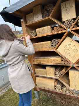 Renovierung Bienenhotel