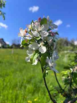 Biodiversität