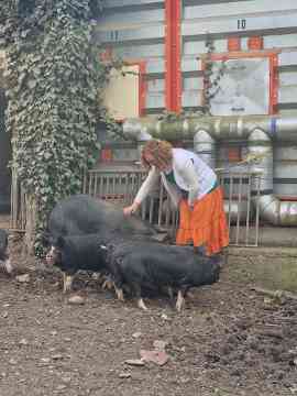 Exkursion biologische Landwirtschaft