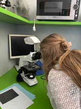 Honigsensorik