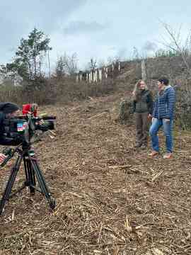 Klimafitter Wald 2025