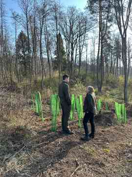 Klimafitter Wald 2025