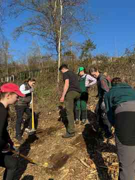Klimafitter Wald 2025