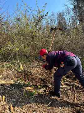 Klimafitter Wald 2025