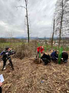 Klimafitter Wald 2025