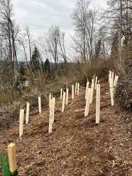 Klimafitter Wald 2025