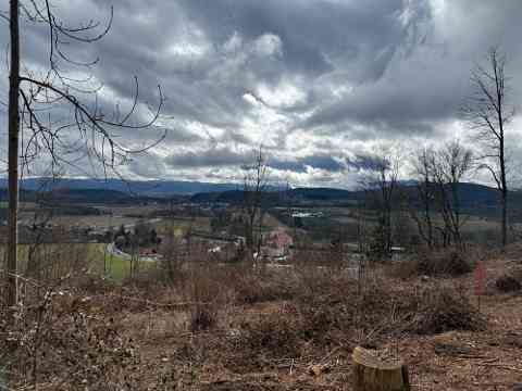 Klimafitter Wald 2025