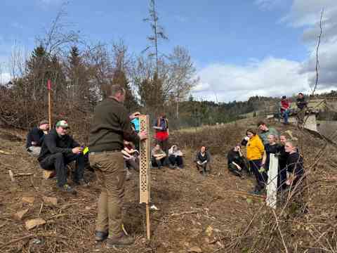 Klimafitter Wald 2025