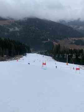 LM Ski Alpin 2025