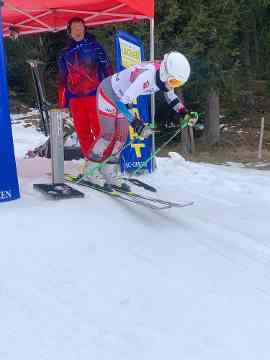 LM Ski Alpin 2025