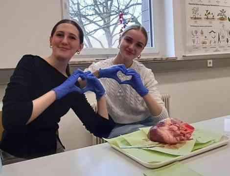 Sezieren im Biologieunterricht