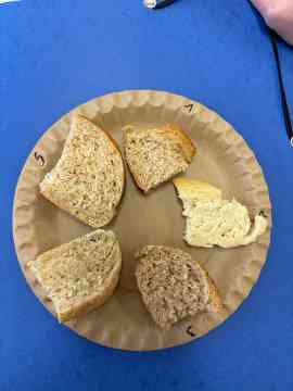 Geschmack entdecken – Ein Tag voller Sinneserlebnisse