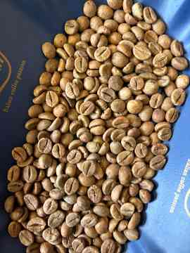 Italienreise des 2BPMR nach Vicenza