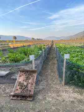 Italienreise des 2BPMR nach Vicenza