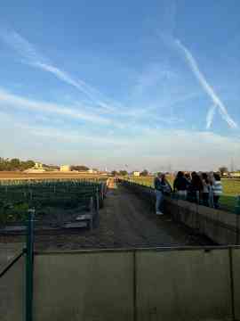 Italienreise des 2BPMR nach Vicenza