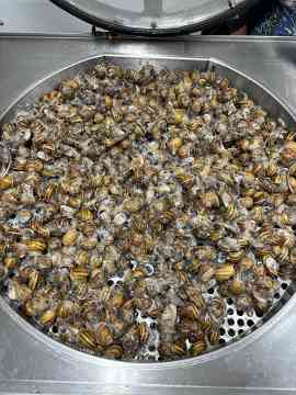 Italienreise des 2BPMR nach Vicenza