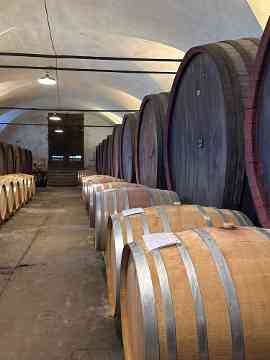 3PMR Exkursion nach Padua