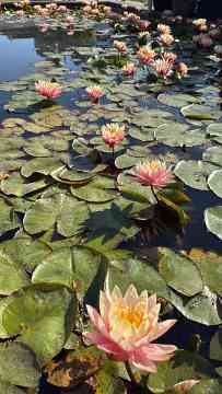 3PMR Exkursion nach Padua