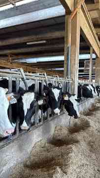 3PMR Exkursion nach Padua