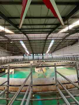 3PMR Exkursion nach Padua