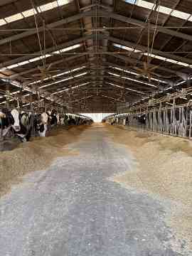 3PMR Exkursion nach Padua