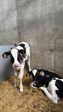 3PMR Exkursion nach Padua