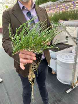 3PMR Exkursion nach Padua