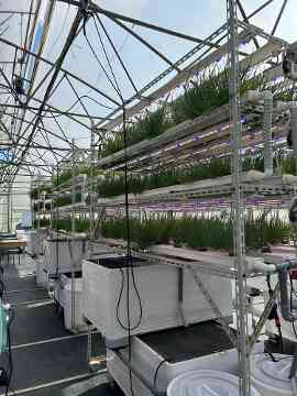 3PMR Exkursion nach Padua