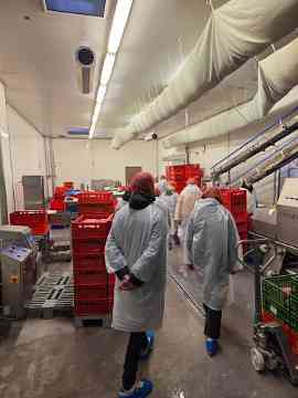 Exkursion 4PMR und 4IUM zu WECH