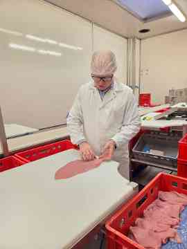 Exkursion 4PMR und 4IUM zu WECH