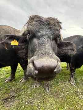 Von Vorarlberg bis München – 4PMR unterwegs