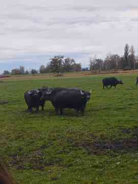Von Vorarlberg bis München – 4PMR unterwegs