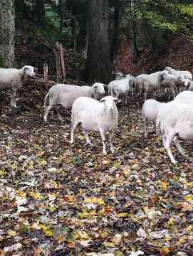 Von Vorarlberg bis München – 4PMR unterwegs