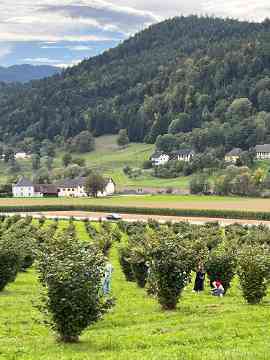 Gartenbau-Exkursion des 5IUM 2025