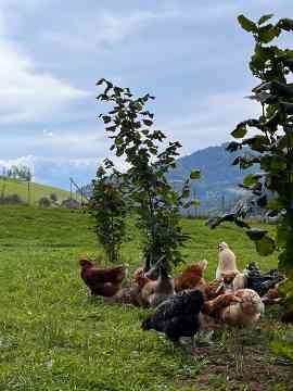 Gartenbau-Exkursion des 5IUM 2025