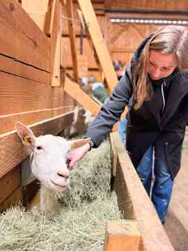 Innovation und Nachhaltigkeit im Jauntal