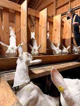 Innovation und Nachhaltigkeit im Jauntal