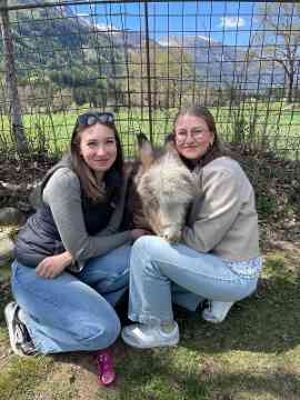 Von Schafbetrieb bis Eselpark - 5IUM