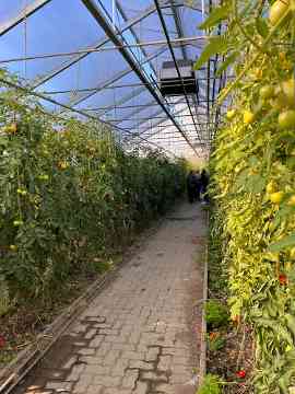 Gartenbau-Exkursion des 5PMR 2025