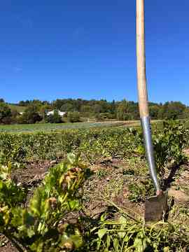 Gartenbau-Exkursion des 5PMR 2025