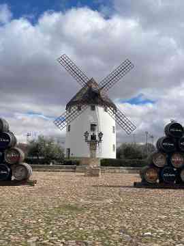 EU-Mobilitäten der 4IUM